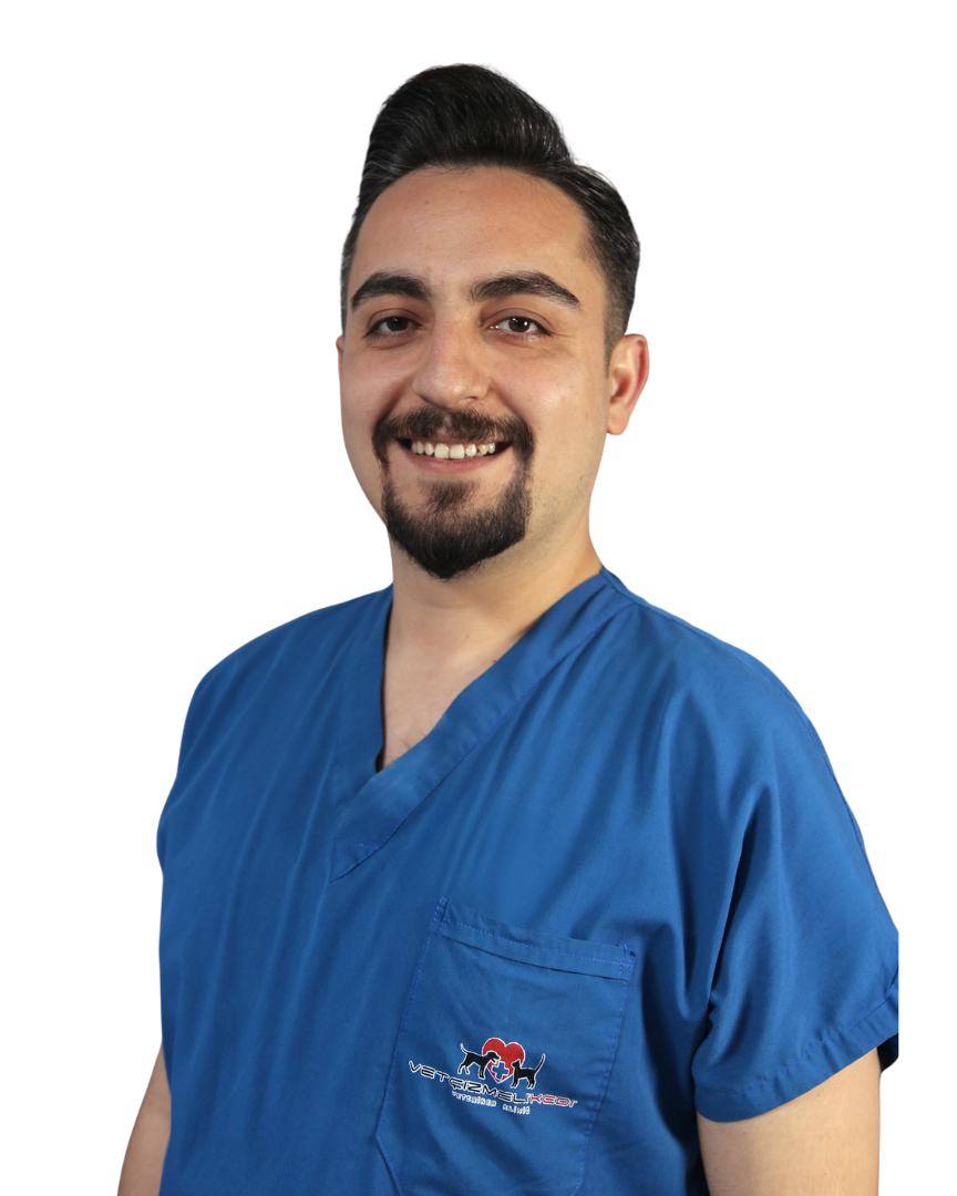 tevfik sarıgül